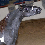 Little America's Sterling Fantastic