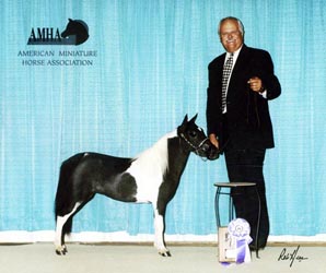 Little America's Struttin' Encore