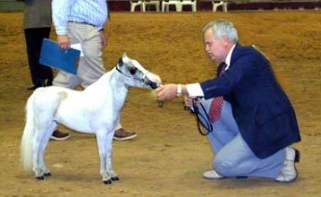 Little America's Too Incredible showing